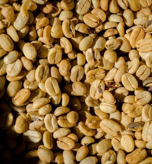 coffee, nature, texture-8066888.jpg