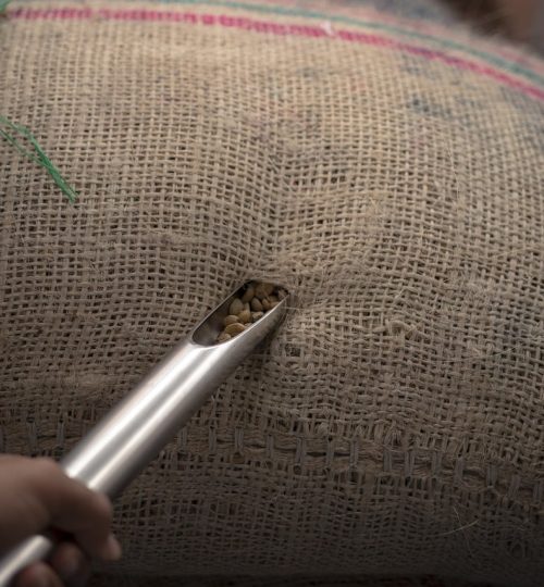 farming, coffee, colombian coffee-6959637.jpg
