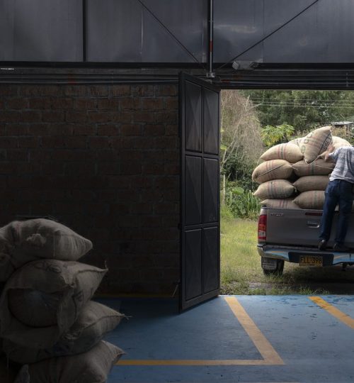 farming, colombian coffee, colombia-6959638.jpg